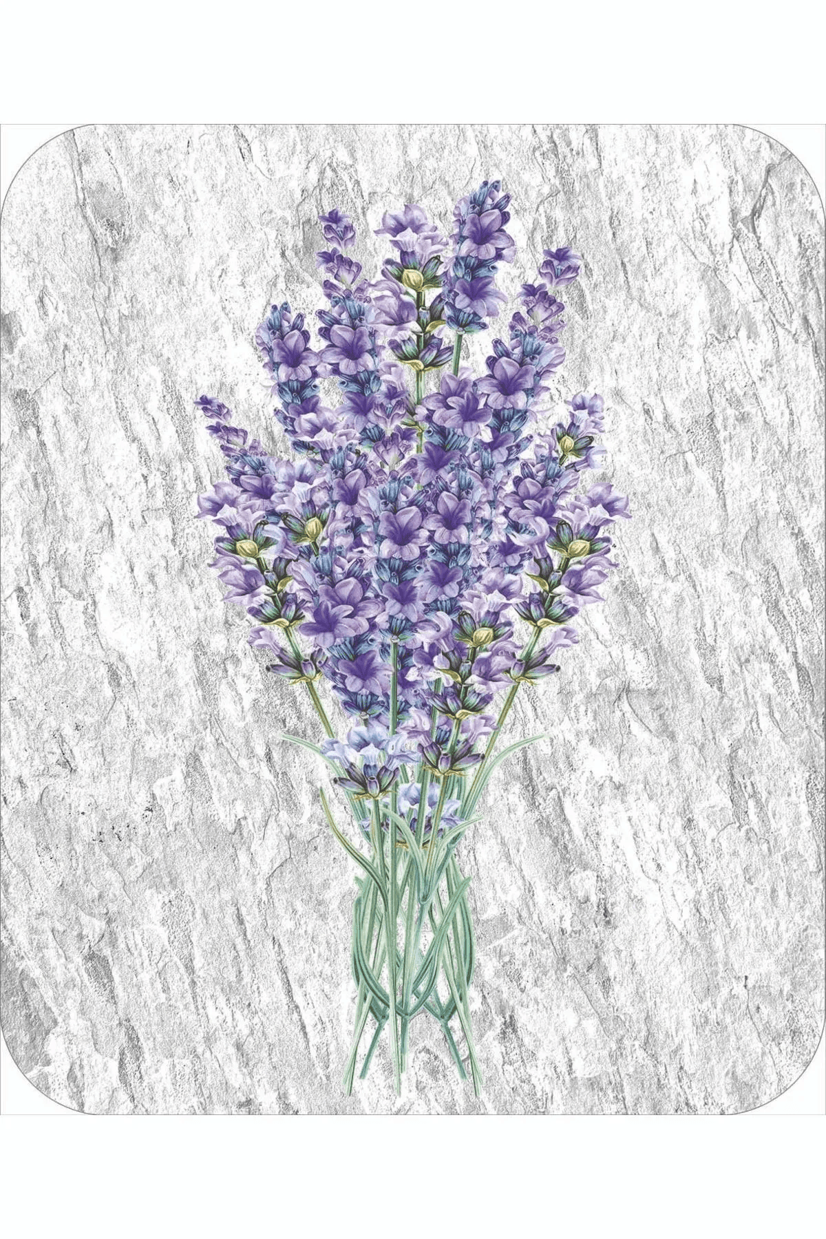 Banyo paspası seti 50x60- 60x90 - Carpetella