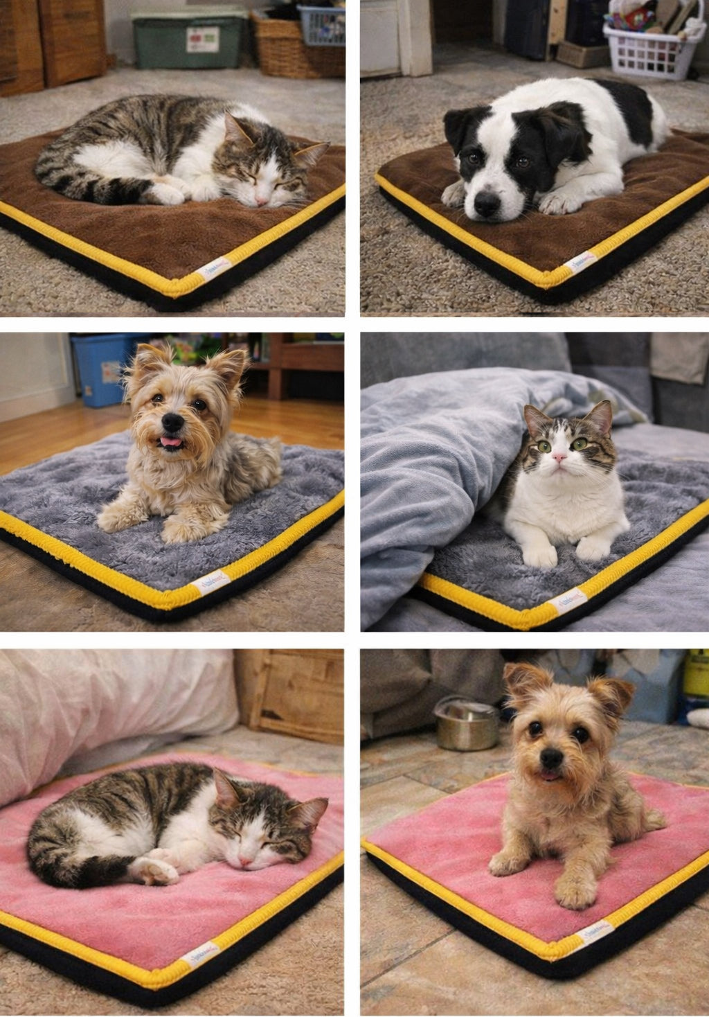 3 CM Süngerli Ortopedik Kedi Köpek Yatağı Pembe Welsoft – Kaymaz Tabanlı Peluş Pet Mat Minderi